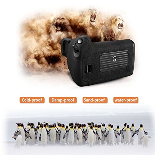 Pixel Vertax E20 Poign e d alimentation Batterie Grip pour Canon EOS 5d Mark IV Appareil Photo Reflex num rique Corps Compatible avec 2 Batteries d LP-E6 LP-e6 N Pixel Vertax E20 Poign e d alimentation Batterie Grip pour Canon EOS 5d Mark IV Appareil Photo Reflex num rique Corps Compatible avec 2 Batteries d LP-E6 LP-e6 N