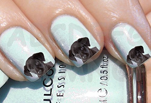 AWS Set Water "Hund Labrador schwarz Nägel Nail Art Sticker Black Dog Puppy Sweet Dog Sticker Welpe Transfer Aufkleber übertragbar auf Wasser