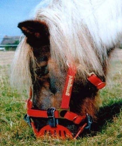 greenguard Set (Muzzle Size: Pony Collar Size 55)