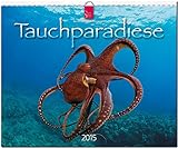 Tauchparadiese 2015 - Original Stürtz-Kalender - Großformat-Kalender 60 x 48 cm by