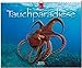 Tauchparadiese 2015 - Original Stürtz-Kalender - Großformat-Kalender 60 x 48 cm by