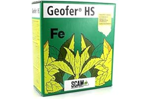 SCAM GEOFER HS chelato di Ferro da kg 1