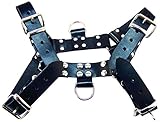 Rouge Garments Large Black O.T Harness with 2-D Rings