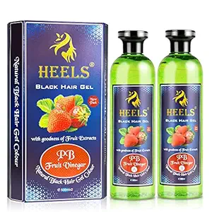 Heels Black Hair Colour Gel | With the goodness of Fruit extracts | Fruit Vinegar Hair Dye | 500ml*2