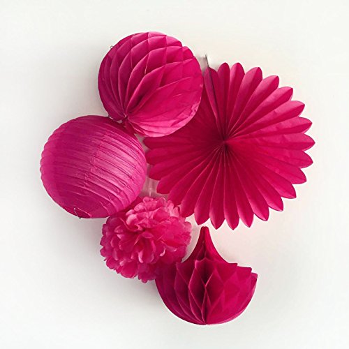 SUNBEAUTY 5er Set Pink Rosa Serie Tissue Papier Pompom & Fächer & Honeycomb Wabenball & Wassertropfen & Lampion Mixed Geburtstag Feier Party Dekoration (Fuchsia 5 Stück)