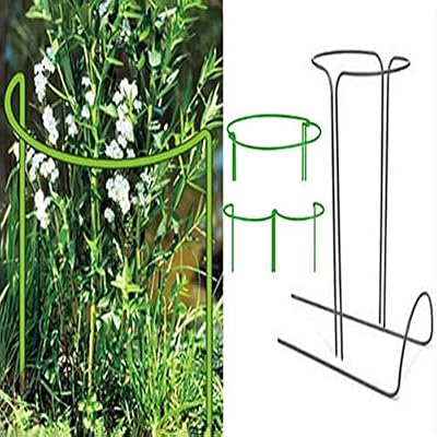 SNIIA Support De Plante À Tige Simple, Support en Métal pour Poteaux De Boucle, Anneau/Cage De Support De Jardin pour Pivoines, Hortensias, Roses, Etc. - Lot De 2