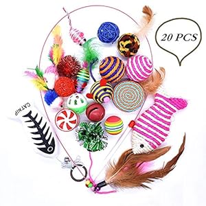 Cadosoigh Juguetes para Gatos 20 Piezas Juguetes Interactivo Ratón y Bolas Varias con Campanas y Plumas, Cabezas de Repuesto y Catnip Ball Incluido Gatito Gato