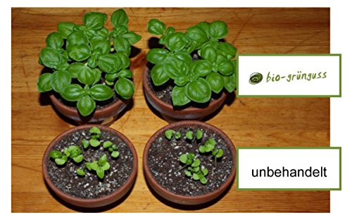 Bio Gemüse und Kräuterdünger – Tee für Pflanzen - 8