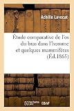 Image de Étude comparative de l'os du bras dans l'homme et quelques mammifères