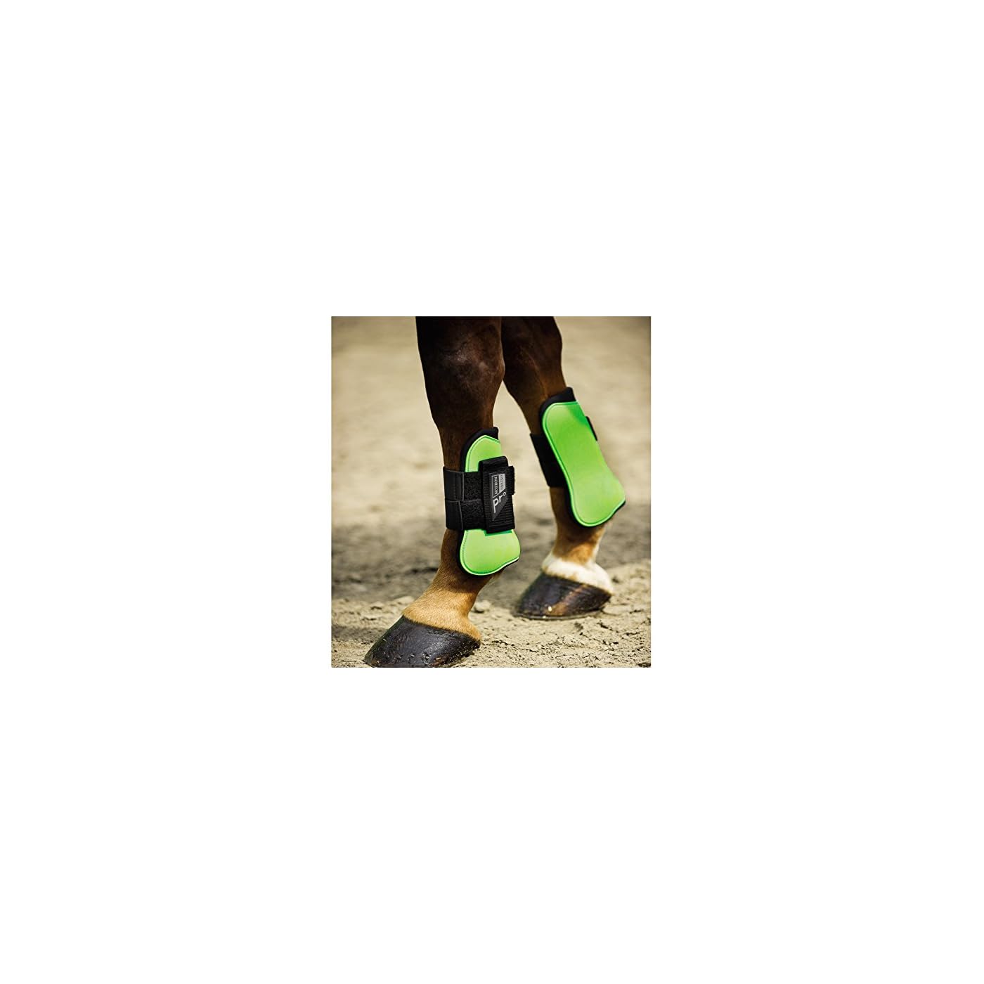 Horse ‘n’ Pony