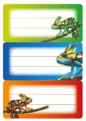 Herma 5876 de nom Manche Étiquettes pour l'école, Gecko, format 7,6 x 3,5 cm, contenu par Contenu : 9 étiquettes