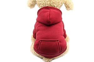 Idepet Sweat à Capuche pour Chat Vêtements pour Chien en Coton avec Manteau d'hiver et Poche extérieure