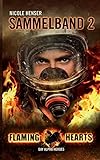 Cover zum Buch Flaming Hearts: Episoden 4. 6