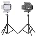 Produktbild Neewer® W160 LED Fotostudio Barndoor Licht Dauerlicht-Panel Set LED-Videolicht Videolampen Videobeleuchtung-Set für Sony, Canon, Panasonic, Hitachi, Samsung und Ähnliche DSLR-Kameras - Inklusive (2) W160 LED Torblende Videoleuchte mit 2 Farb Honeycomb Gel, (2) Mini-Aluminium-Fotografie Rückseite Licht steht mit 32 "/ 80 cm Maximale Höhe für Relfektoren, Softboxen, Beleuchtung, Sonnenschirme, Bildhintergrund