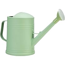 Arrosoir Vert 2 Litres KOVA - Pour Plantes D'Intérieur Et Balcon - Léger Et Pratique Avec Douchette