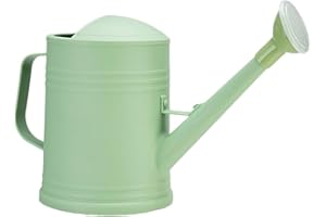 Youning Arrosoir de jardin 2 l - Petit arrosoir pour plantes d'intérieur - Avec douchette amovible - En plastique - Pour l'intérieur et l'extérieur - Vert clair