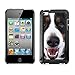 Produktbild Hülle Case Schutzhülle Cover Premium Case // F00032183 Excited Berner Sennenhund // Apple ipod Touch 4 4G 4th