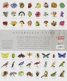 Image de El libro de la naturaleza: La guía visual definitiva del mundo natural (Grandes temas)
