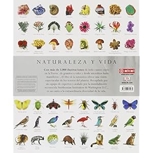 El libro de la naturaleza: La guía visual definitiva del mundo natural (Grandes temas)