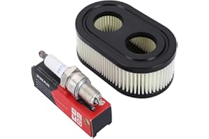 Moritale Filtro de Aire Cortacésped Briggs＆Stratton Bujía Cartucho del Limpiador para Viking 593260 798339 798452 550E 550EX Série Eco-Plus 575EX 2 4 Tiempos Motor (1 Filtro de aire & Bujía)