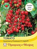 Germinación de las semillas ALTOS NO SÓLO PLANTAS: Thompson & Morgan - Verduras - Tomate Suncherry premium híbrido F1 - 6 de semillas