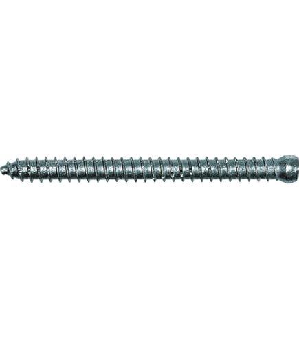 Marcopol Confezione Da 50 Pezzi In Acciaio Zincato 7,5 X 182 Mm Viti Per Telaio In Calcestruzzo, Viti Per Legno, Testa Torx, Vite Per Muratura, Testa Piatta (50, 7,5 X 182 Mm