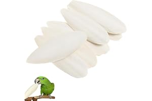 REGAPOG Os De Seiche pour Tortue Os Seiche,Jouet à MâCher en Os De CâLin pour Oiseaux,Os De Seiche Oiseaux Coquilles De Seiche,S'Applique à Oiseau Seiche pour Perruches（10 Individuel）