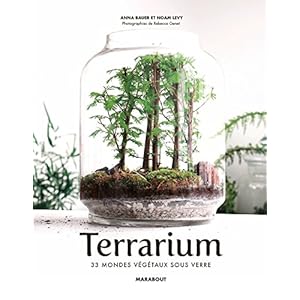 Terrarium: 33 mondes végétaux sous verre Livre en Ligne - Telecharger Ebook