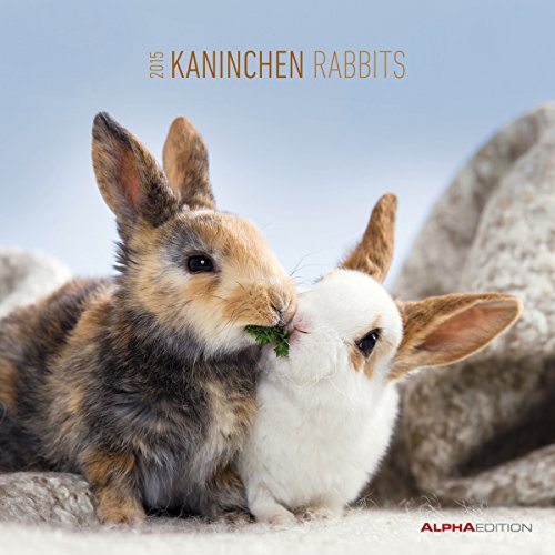 Download Kanninchen 2015 - Rabbits - Broschürenkalender (30 x 60 geöffnet) - Tierkalender Download Kanninchen 2015 - Rabbits - Broschürenkalender (30 x 60 geöffnet) - Tierkalender