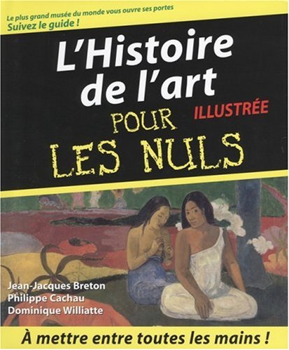 couverture de : Histoire de l'art illustr&eacute;e pour les Nuls