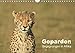 Geparden - Begegnungen in Afrika (Wandkalender 2016 DIN A4 quer): Die schnellste und zugleich eleganteste Großkatze der Welt in wunderbaren Bildern - ... (Monatskalender, 14 Seiten ) (CALVENDO Tiere) by