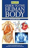 Guide to the Human Body Guide to the Human Body
