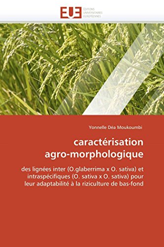 Caractrisation Agro-Morphologique (Omn.Univ.Europ.)