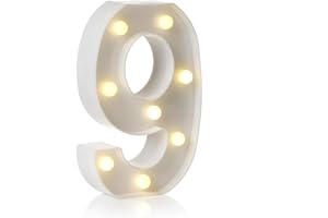 anso LED Alphabet Letter & Number Light Sign Decorations Lamp for Home Birthday Party Event Night Lights 22cm (9)