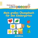 Lernraupe - Mein großes Übungsbuch für den Kindergarten (Kindergarten-Lernraupe) by Angela Wiesner, Corina Beurenmeister