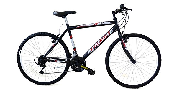 F. lli Masciaghi DMU26118B Bicycle : Amazon.de: Sports \u0026 Outdoors