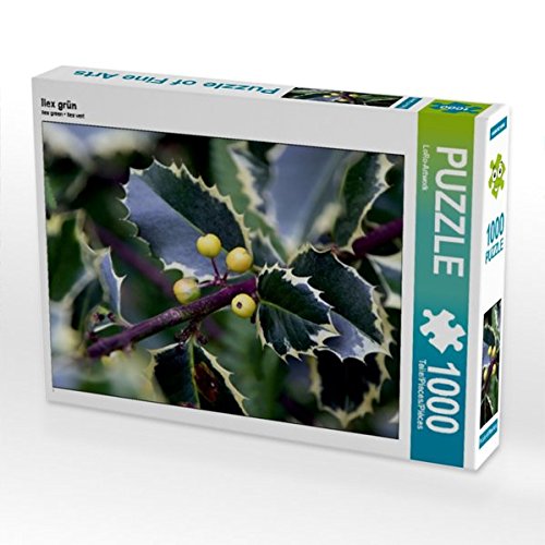 Preisvergleich Produktbild Ilex grün 1000 Teile Puzzle quer
