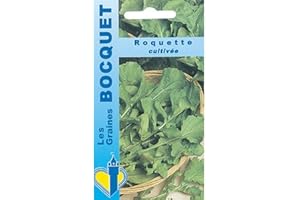 Sachet de graines de Roquette cultivée - 5 g - légume feuille - LES GRAINES BOCQUET