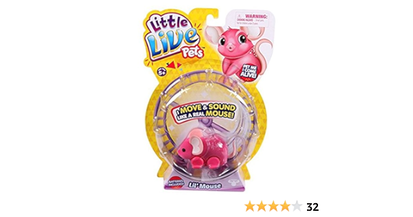 live pet mouse