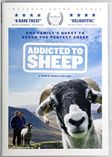 Addicted to Sheep - DVD