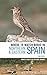 Produktbild Where to Watch Birds in Northern and Eastern Spain