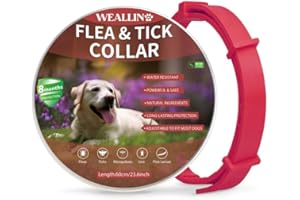 WEALLIN Collares Antiparasitario para Perros, Collar Antipulgas Perros Impermeable Regulable con 8 Meses de Protección, Collar de Pulgas y Garrapatas para Perro Cachorros Grandes, Rojo (1 Pack)