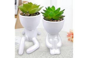ODIWEN 2Pcs Plantas Suculentas Artificiales, Planta Artificial Decorativa, Pequeñas Plantas Artificiales, Plantas Decoración Suculentas, Mini Plantas Falsas de Plástico, Plantas Artificiales Pequeñas