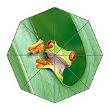 Viaje umbralla-windproof compacto paraguas plegable portátil con marco reforzado, 8 varillas...