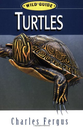 Turtles livre