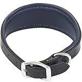 The Animate Company - Collar acolchado para galgo