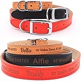 Personalisiertes Leder Hundehalsband Welpenhalsband, Feinste Qualität von Ancol