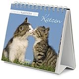 Literaturkalender 2013 Katzen: Wochen-Aufstellkalender by