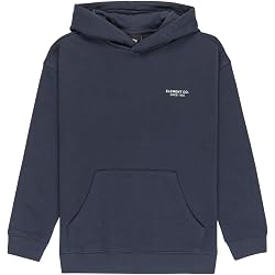 Sudadera Con Capucha Element Icon Para Niños 8-16 Años - Algodón Reciclado, Interior Cepillado Y Bordado En El Pecho. Corte Normal.
