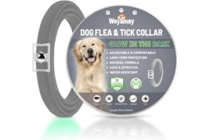 Woyamay Collar Antiparasitario Perros, Luminoso Collar Antipulgas Perros, 65cm Eficaz Collar Perro de Pulgas y Garrapatas, 8 Meses de Protección, Impermeable para Pequeño Mediano Grandes Perros Gris